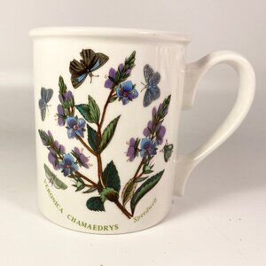 Portmeirion Botanic Garden by Susan Ellis Veronica Chamaedrys design